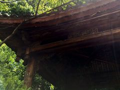 -黑龙潭公园
