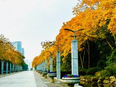 -上海科技馆(地铁站)