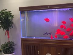 -金蚁康•经络调理•肩颈按摩(万达金街店)