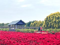 -广东花都香草世界旅游度假区