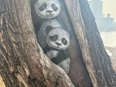 -迎泽公园
