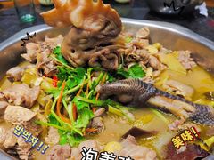 -陈三娃泡姜鸡