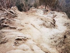 -北京鹫峰国家森林公园