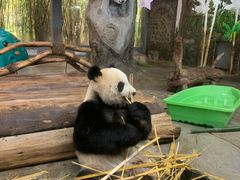 -海南热带野生动植物园