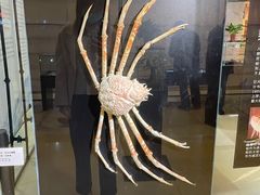 -燕莎友谊商城(亮马桥店)