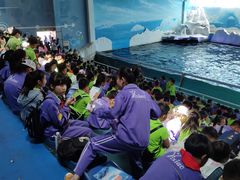 -秦皇岛乐岛海洋王国