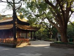 -普陀山风景名胜区-法雨禅寺