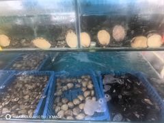 -阿弟特色海鲜餐厅·大排档(平潭店)