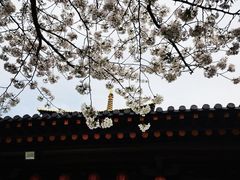 -广富林郊野公园
