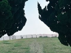 -小麦岛公园
