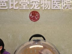 -亚宠动物医院·芭比堂宠物医院(盘龙店)