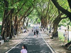 -广州雕塑公园