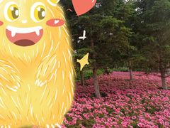-莫子山公园