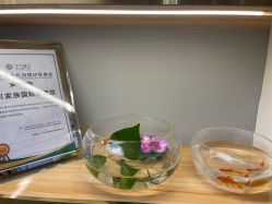 -宝贝家族国际影像馆(高新店)