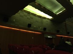 -大光明电影院(南京西路店)
