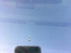 -鲨鱼皮汽车凹陷玻璃修复(静安店)