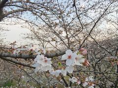 -苏州上方山国家森林公园