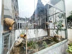 -湖鲜楼