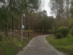 -莫子山公园