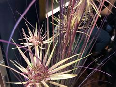 -Siam泰餐厅(水上公园店)