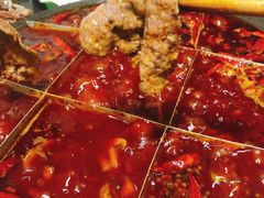 -肥龙火锅(南坪店)