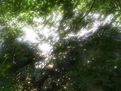 -青峰峡国家森林公园