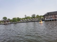 -鹅湖玫瑰文化园