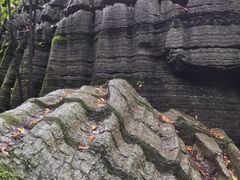 -梭布垭石林景区