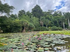 -中国科学院西双版纳热带植物园