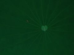 -竹西公园