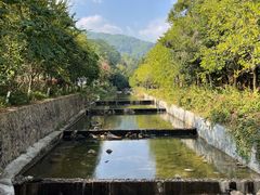 -广州白江湖森林公园