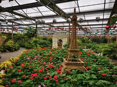 -南宫五洲植物乐园