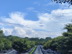 -凤凰沟景区