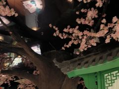 -荷塘秋月·本帮江浙菜(国权路店)