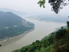 -铁山坪森林公园