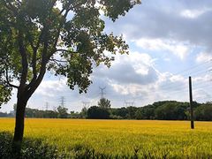 -嘉北郊野公园