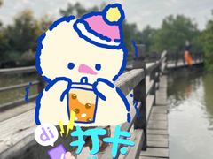 -大湾区中央湿地公园