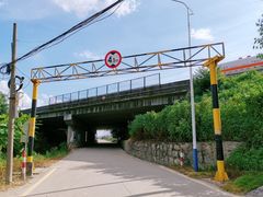 -低涌(地铁站)