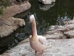 -昆明动物园