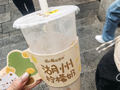 -猫的魔法密林(衣裳街店)