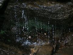 -东天目山风景区