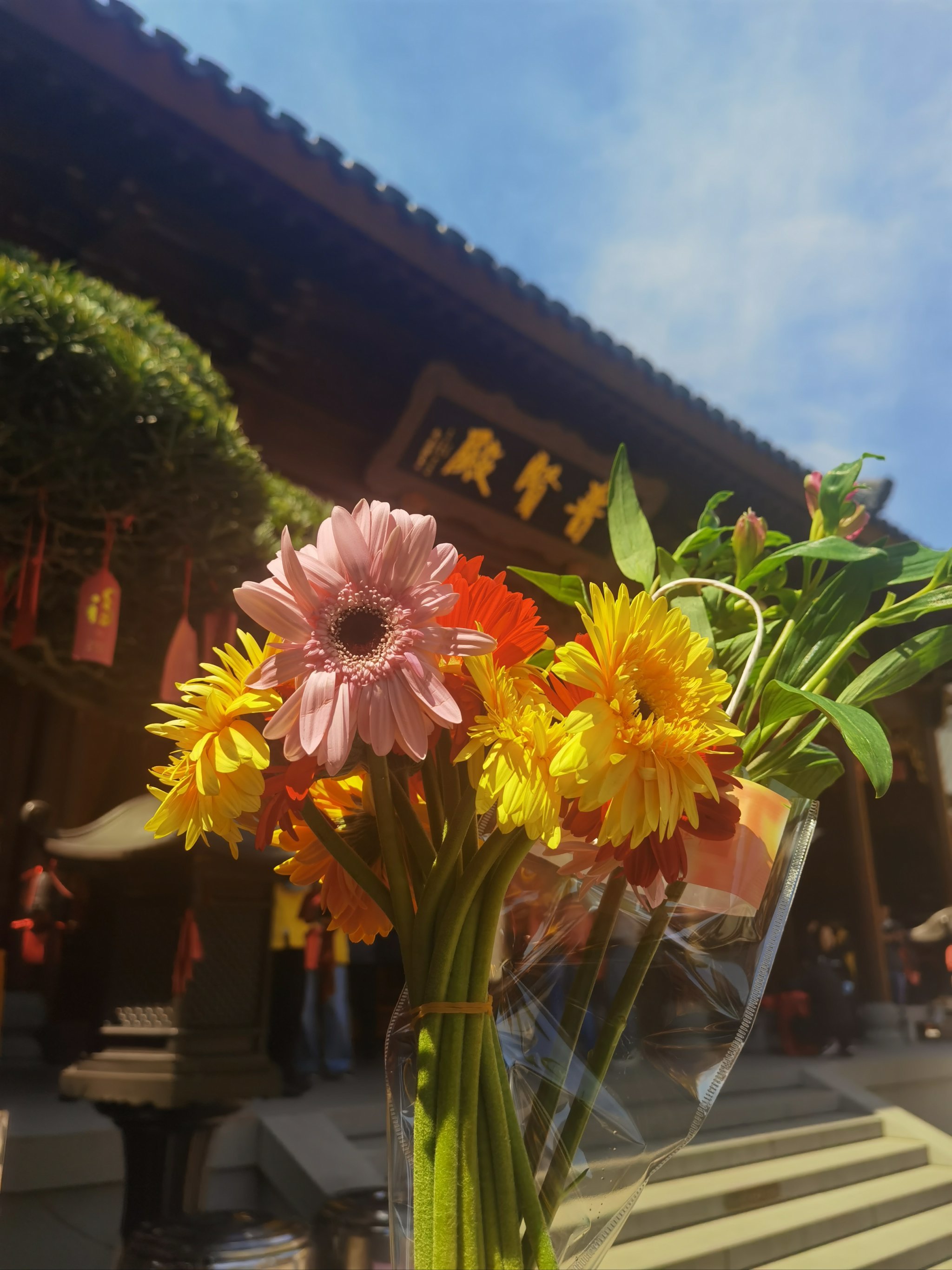 春天,到玉佛寺寻花🌸去,大众点评借花献佛