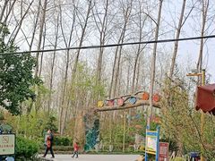 -合肥滨湖国家森林公园