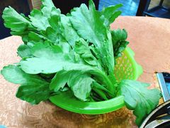 茼蒿-濠轩阁特色生蚝火锅(水湾路店)