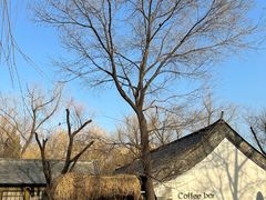 -三忘湖 SWANSEEN(柳荫公园店)