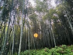 -杭州黄龙洞