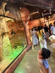 -Zoolung Zoolung动物主题公园(海信广场店)