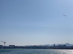 -烟墩角天鹅湖