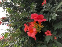 -水西公园