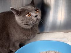 -北京恒爱动物医院(清景园分院)